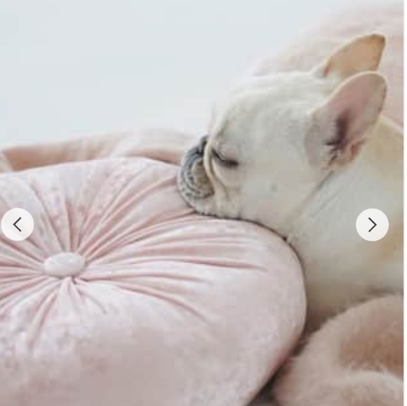 Would you low ball him? - Picture 3 of 3